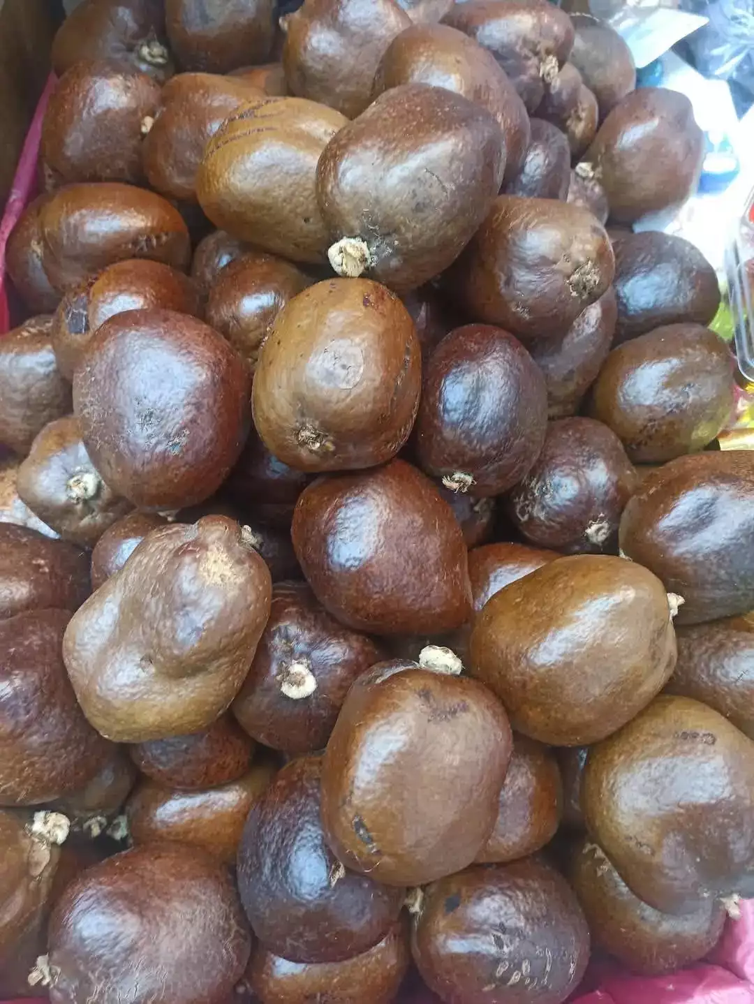 تفاحة ادم 